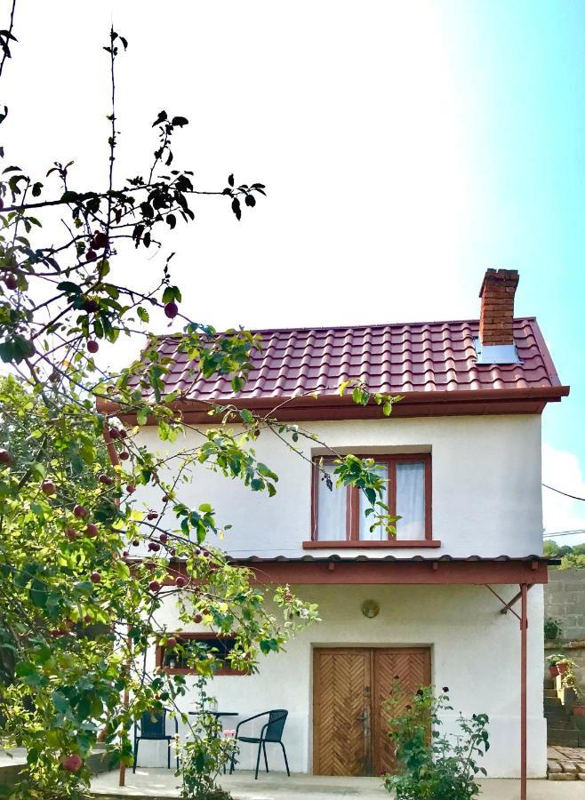 Boraszporta - Preshaz Hotel Villany Luaran gambar