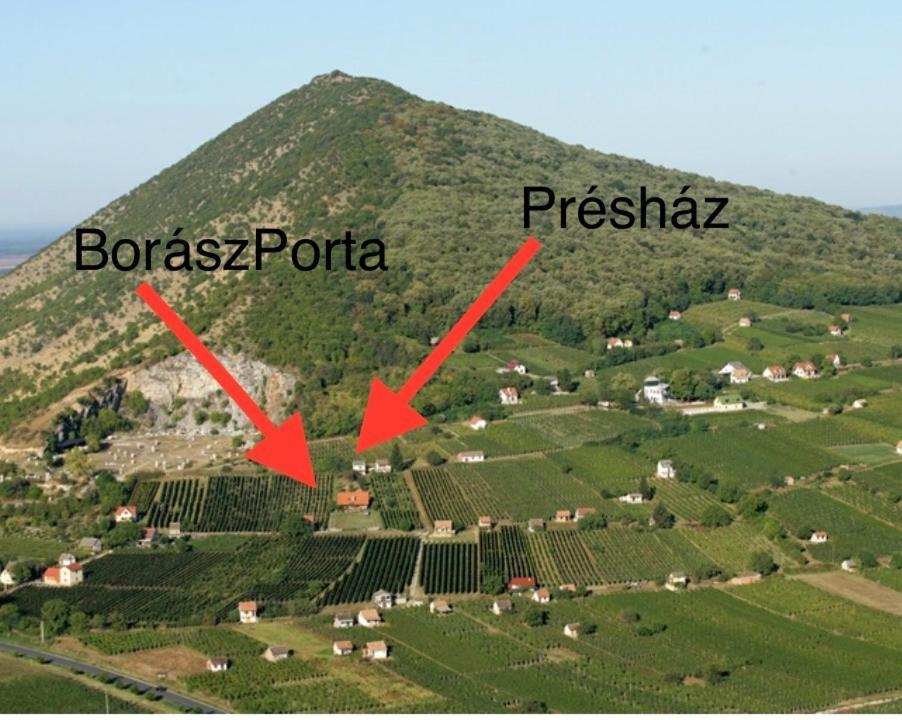 Boraszporta - Preshaz Hotel Villany Luaran gambar