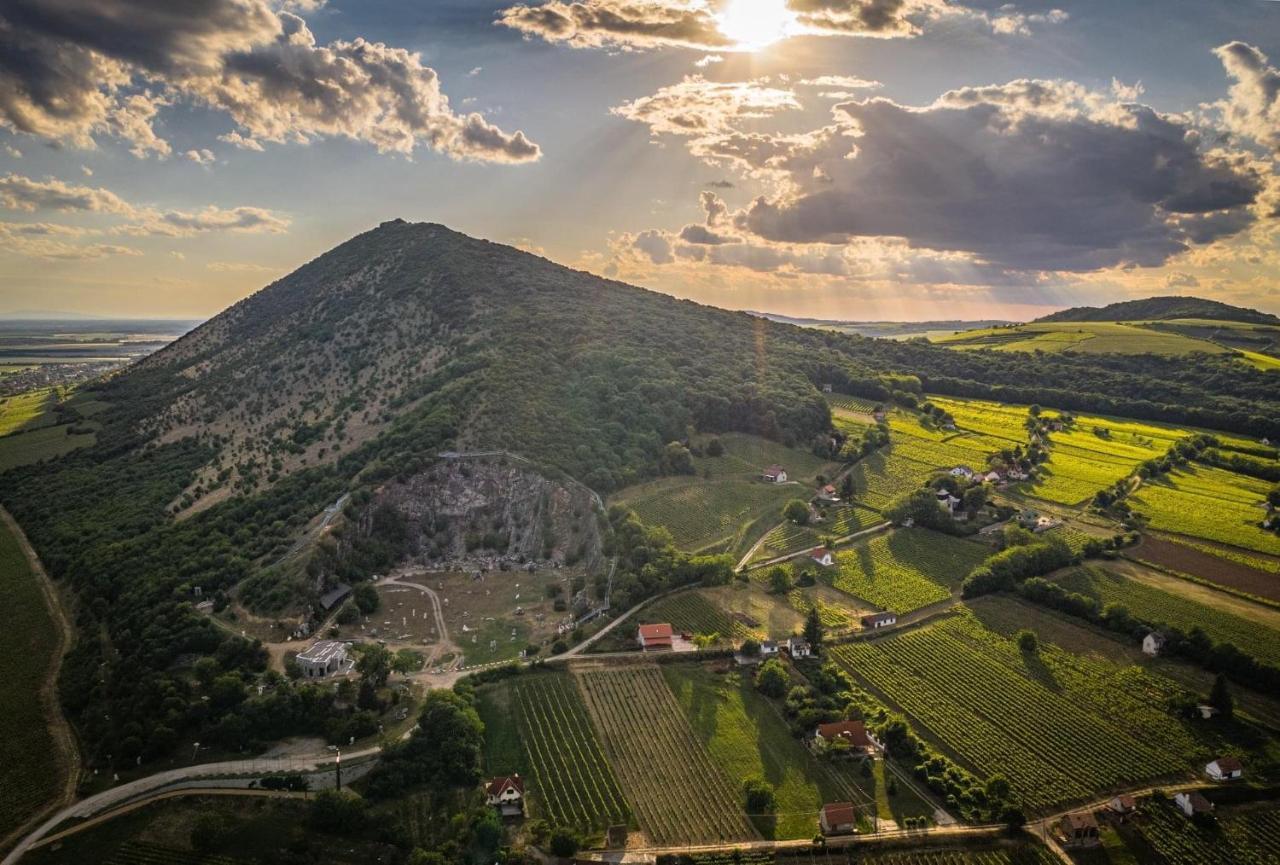 Boraszporta - Preshaz Hotel Villany Luaran gambar