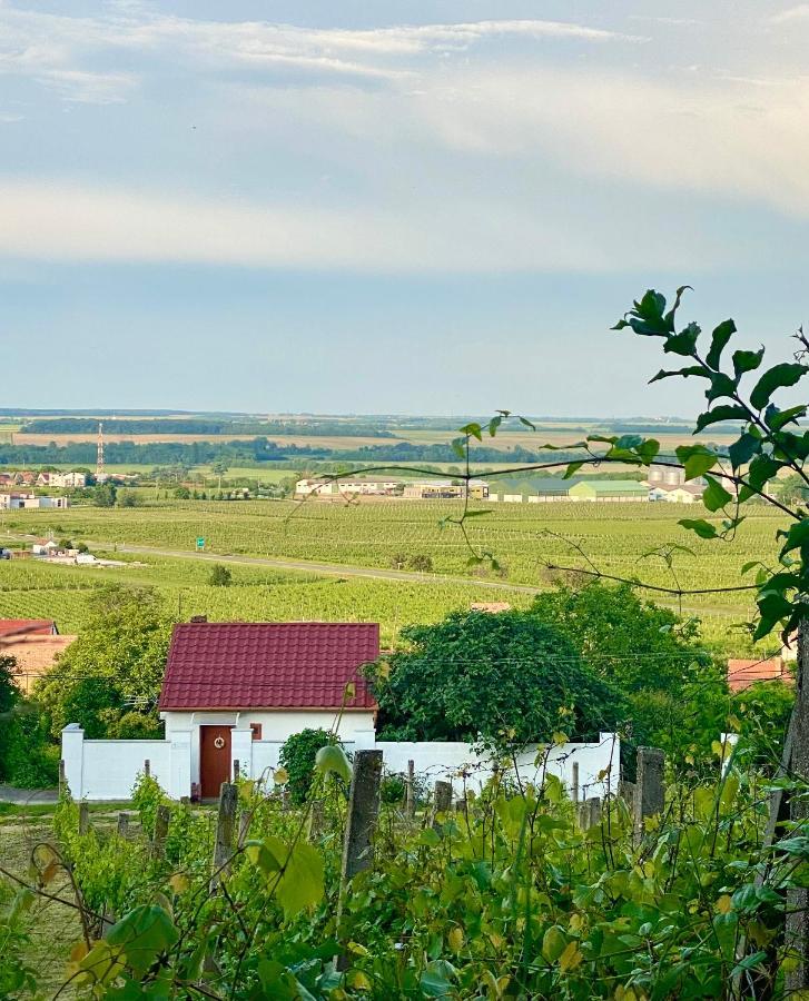 Boraszporta - Preshaz Hotel Villany Luaran gambar