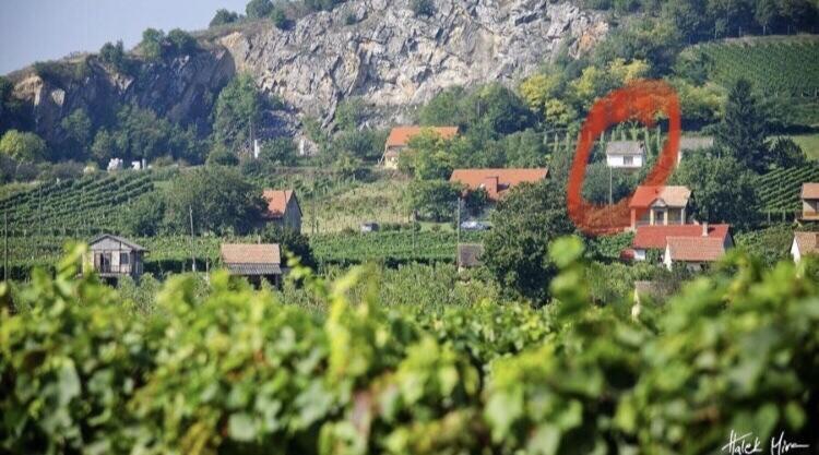 Boraszporta - Preshaz Hotel Villany Luaran gambar