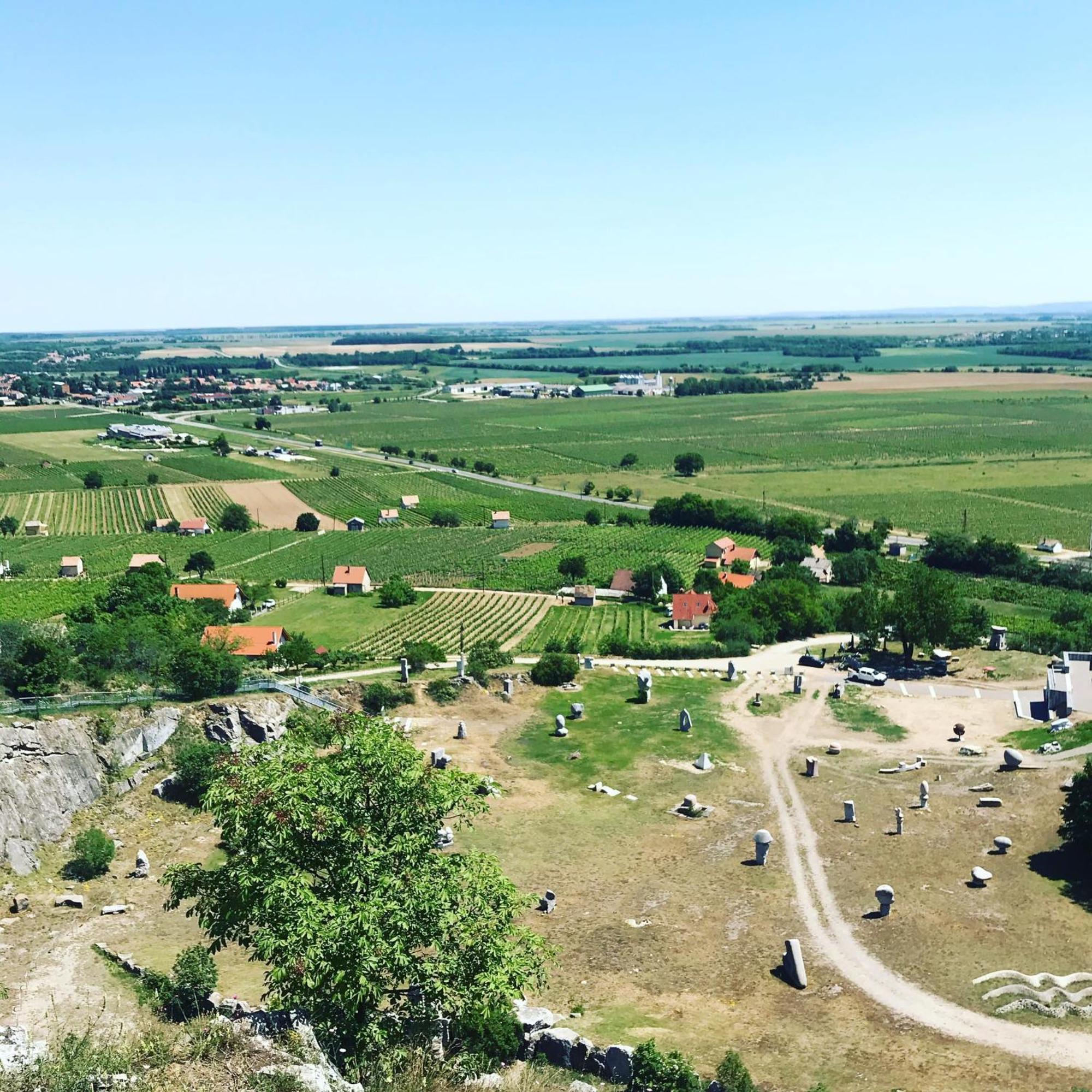 Boraszporta - Preshaz Hotel Villany Luaran gambar
